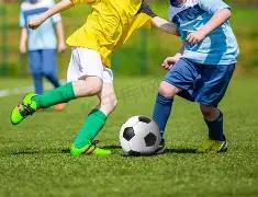 官方宣布,费内巴切,万欧元引进,星空体育平台,星空体育官方网站,星空体育登录入口,星空体育app下载