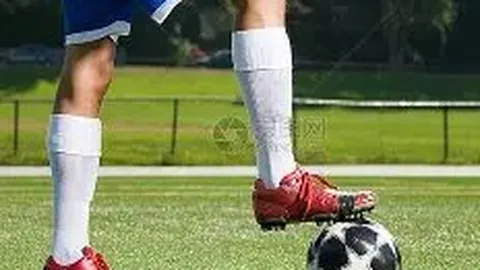 星空体育 资讯 095635 xdl