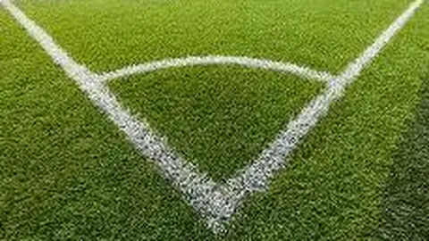 德罗巴宣布参选科特迪瓦足协主席宝座